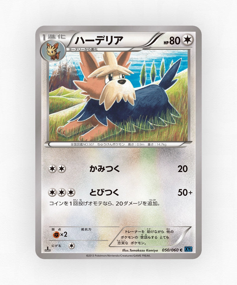 pk-xy1x_ja-50-unlimited-non-holo