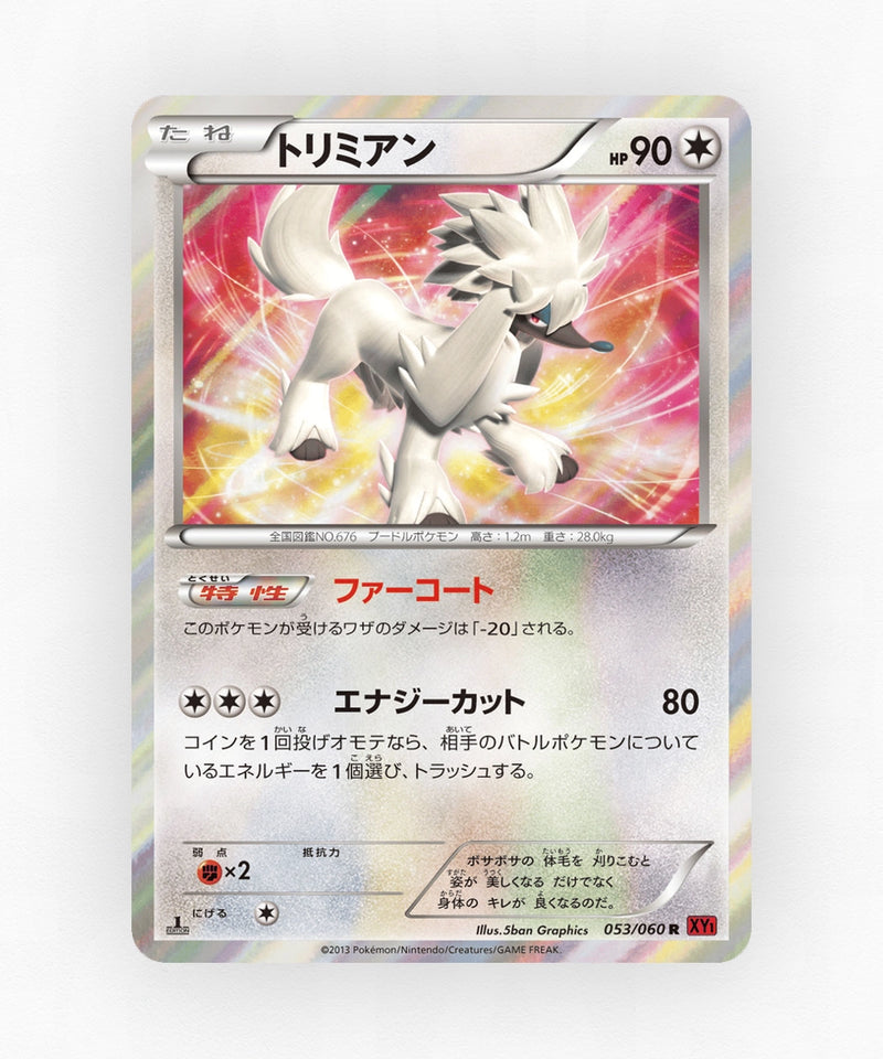 pk-xy1y_ja-53-1e-holo