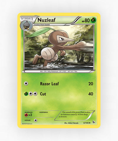 pk-xy2-6-non-holo