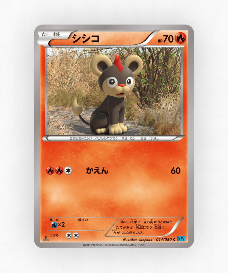 pk-xy2_ja-14-1e-non-holo