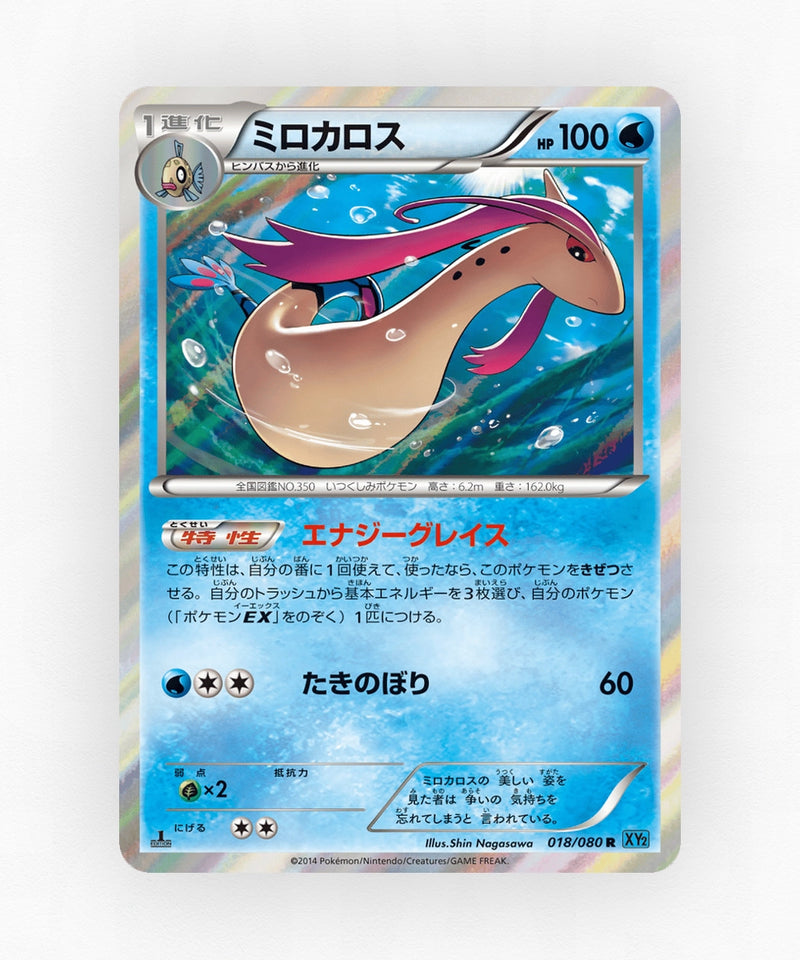 pk-xy2_ja-18-1e-holo