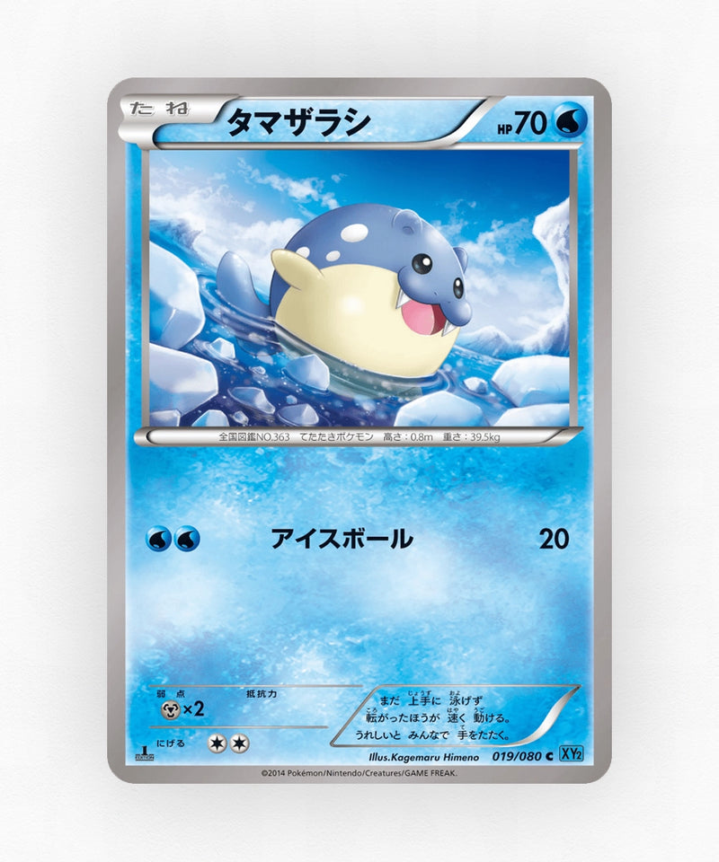 pk-xy2_ja-19-1e-non-holo