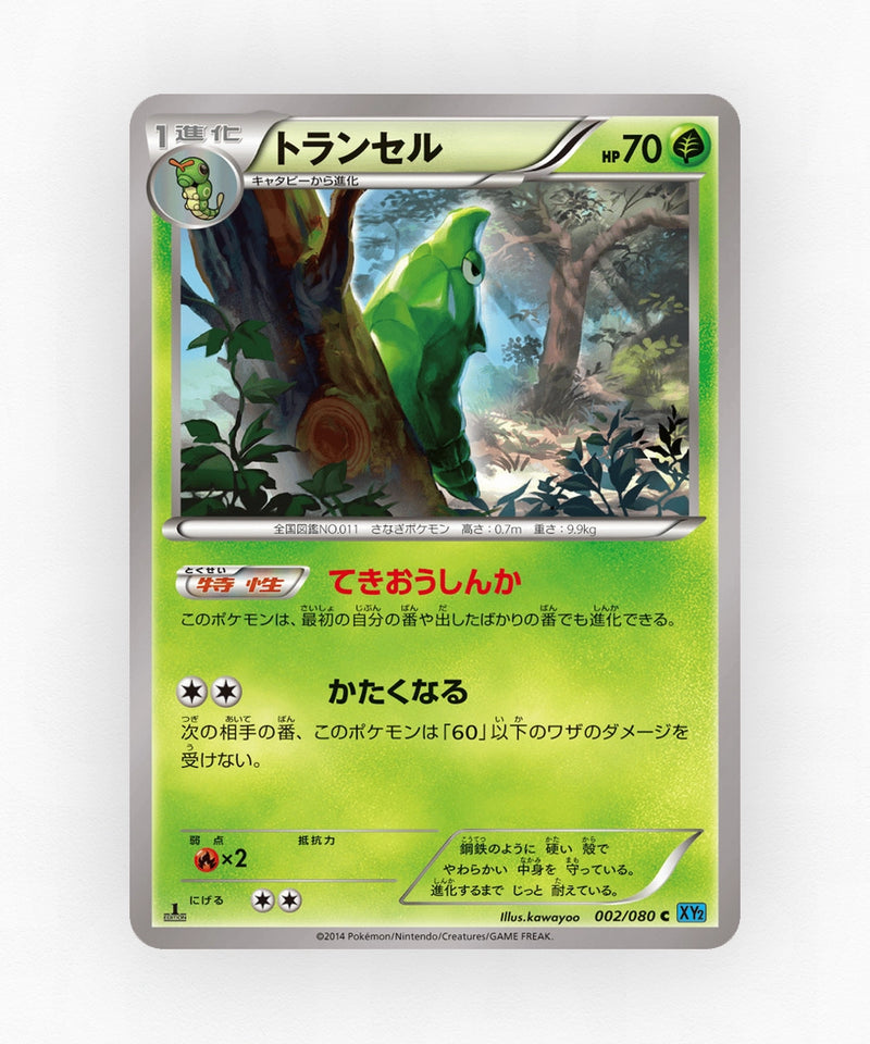 Metapod - Wild Blaze 002/080 (Unlimited Non-Holo)
