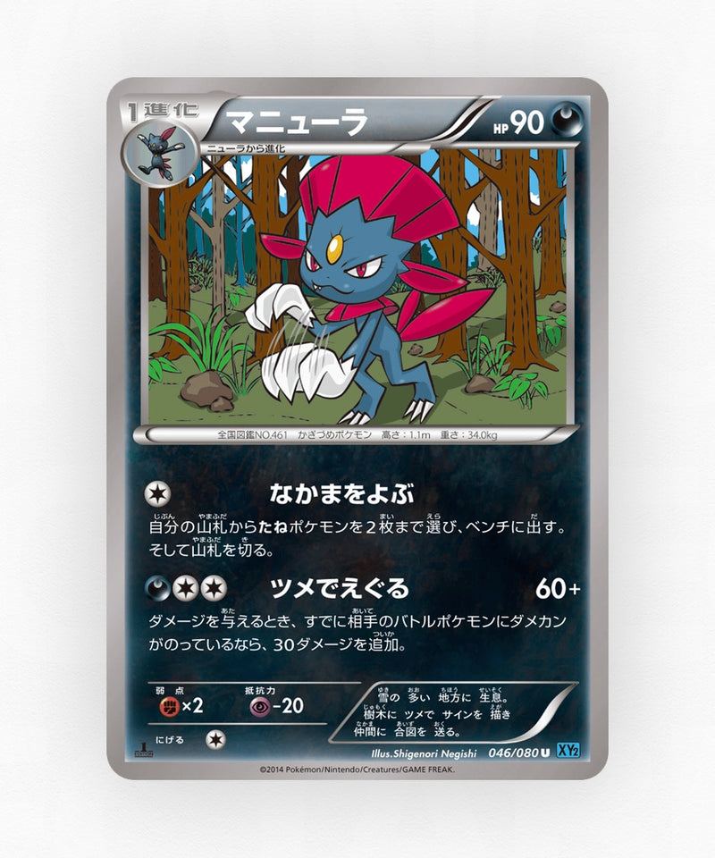 pk-xy2_ja-46-1e-non-holo