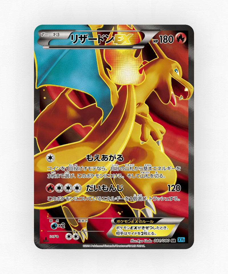 pk-xy2_ja-81-1e-holo