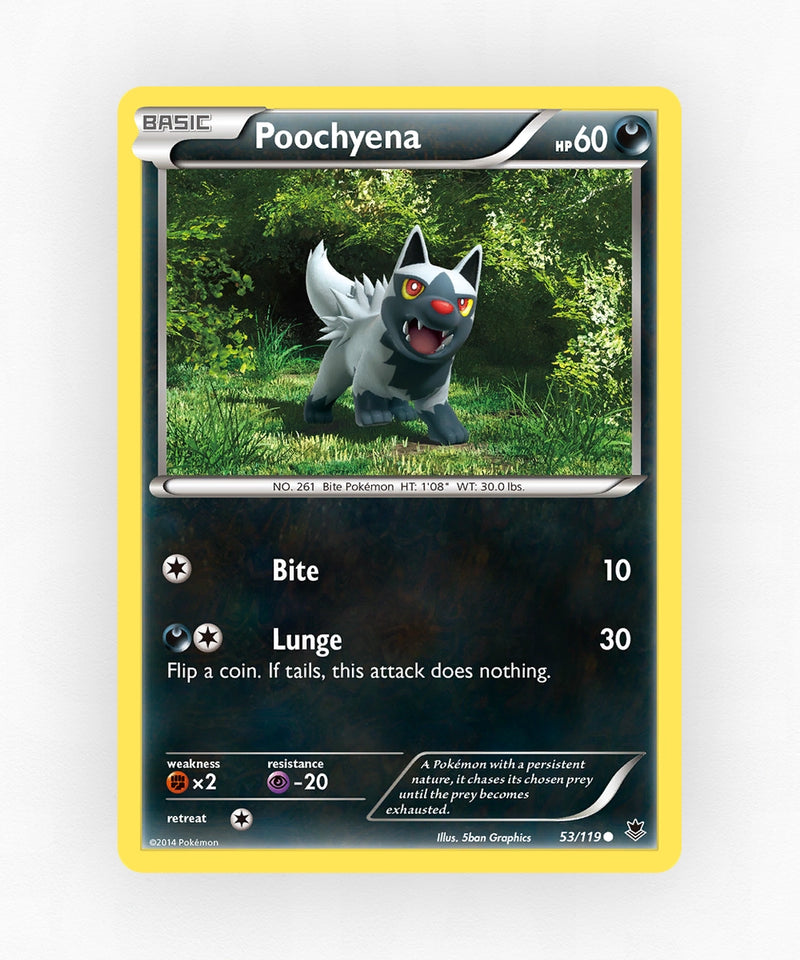 pk-xy4-53-reverse-holo