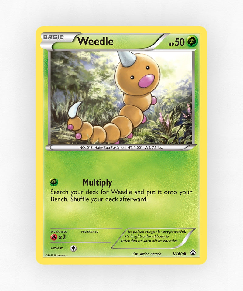 pk-xy5-1-non-holo