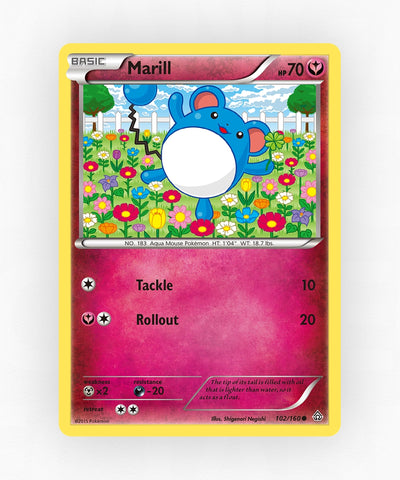 pk-xy5-102-non-holo