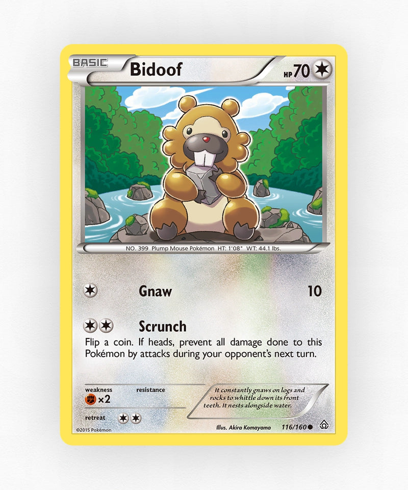 pk-xy5-116-non-holo
