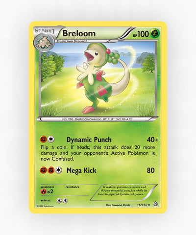 pk-xy5-16-reverse-holo
