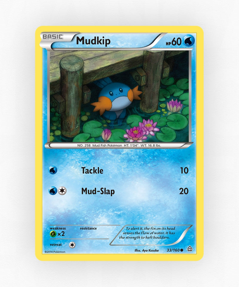 pk-xy5-33-reverse-holo