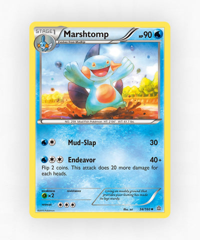 pk-xy5-34-reverse-holo