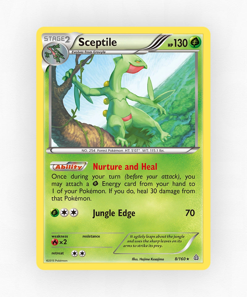 pk-xy5-8-non-holo
