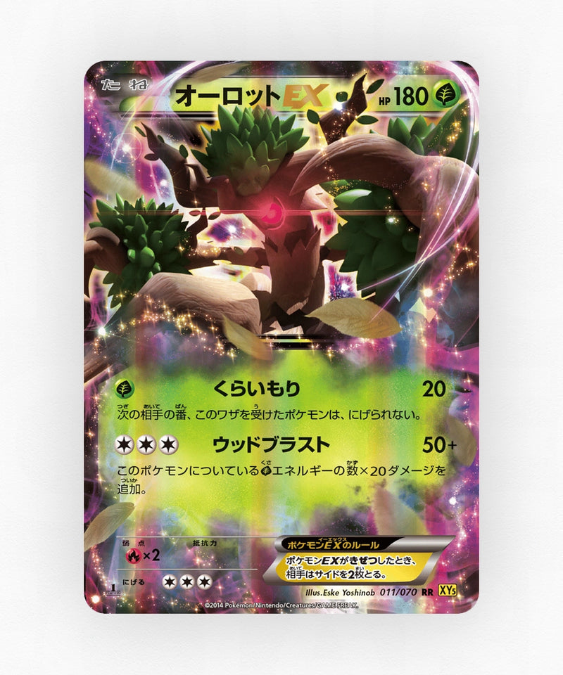 pk-xy5g_ja-11-1e-holo