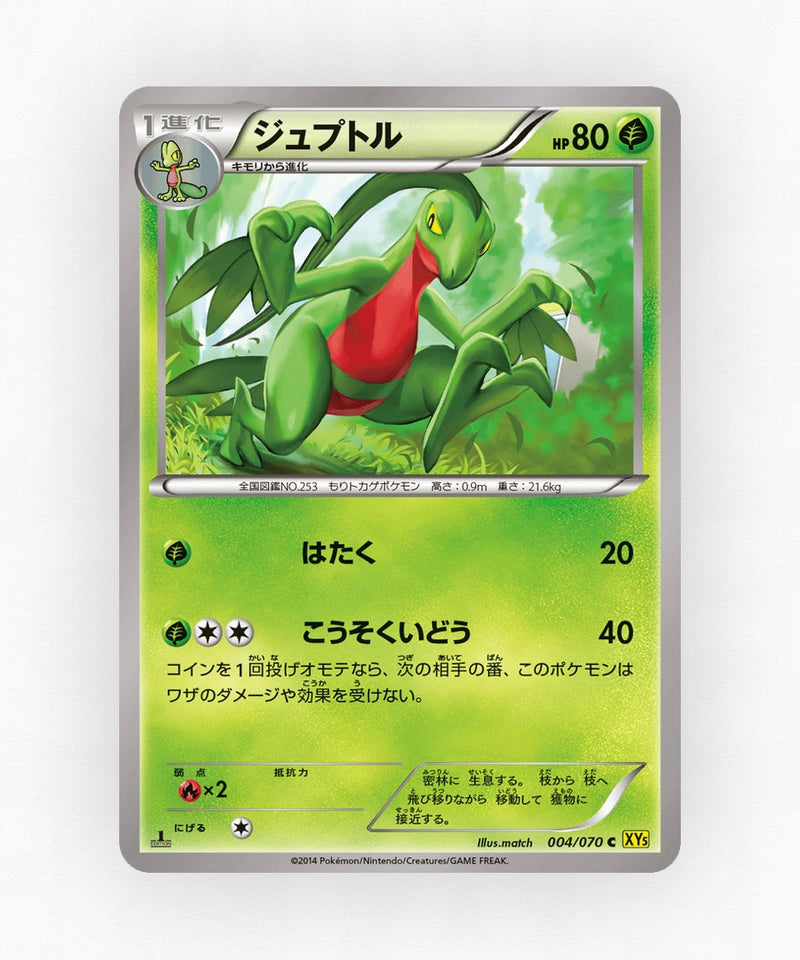 Grovyle - Gaia Volcano 004/070 (1st Edition Non-Holo)