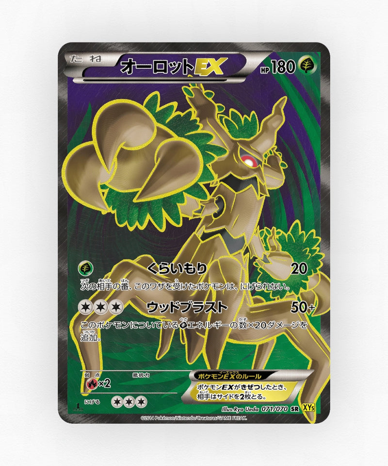 pk-xy5g_ja-71-1e-holo