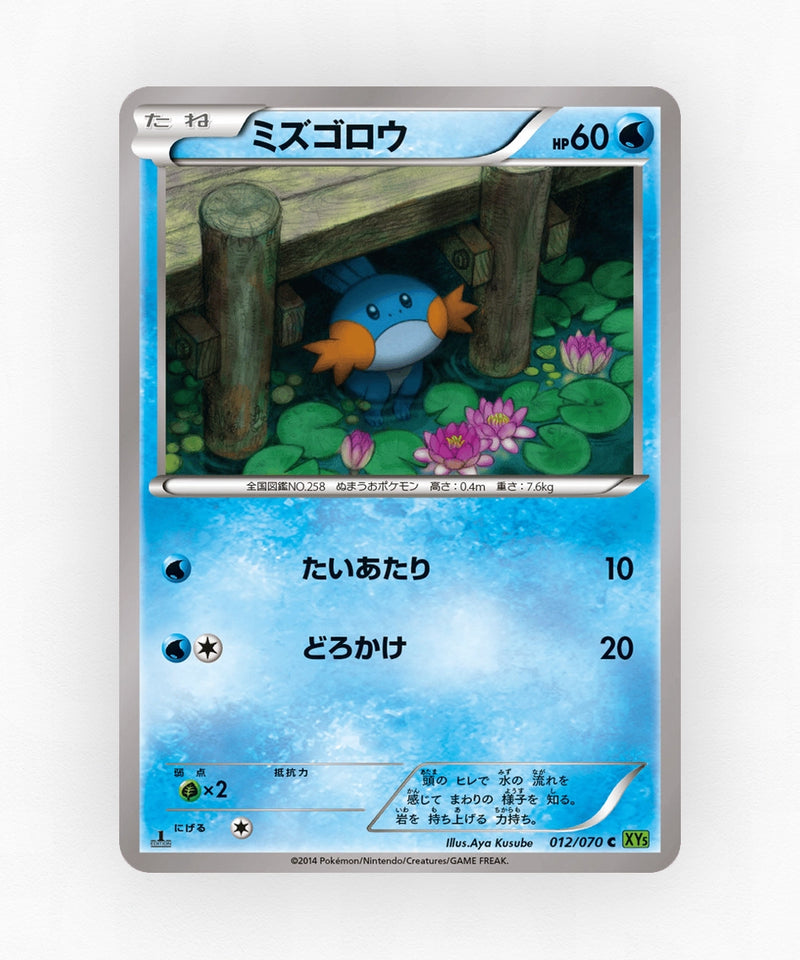 Mudkip - Tidal Storm 012/070 (Unlimited Non-Holo)