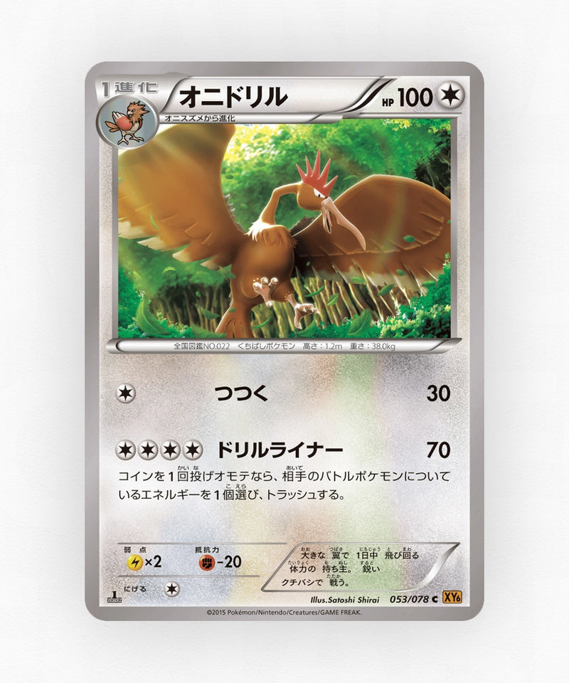 Fearow - Emerald Break 053/078 (Unlimited Non-Holo)