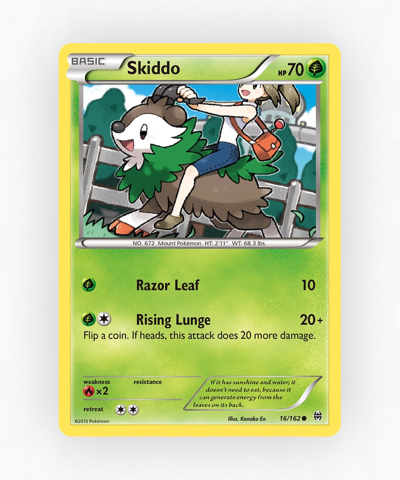 pk-xy8-16-reverse-holo