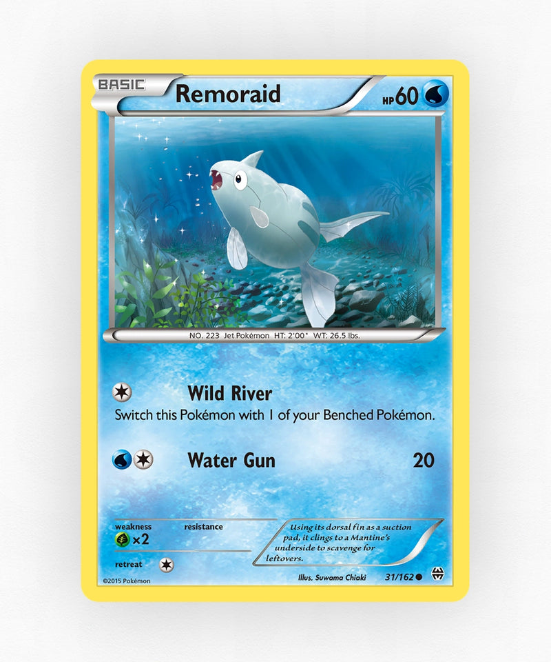 pk-xy8-31-non-holo