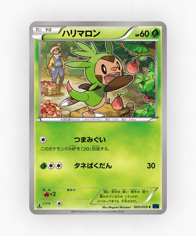 Chespin - Blue Shock 005/059 (1st Edition Non-Holo)