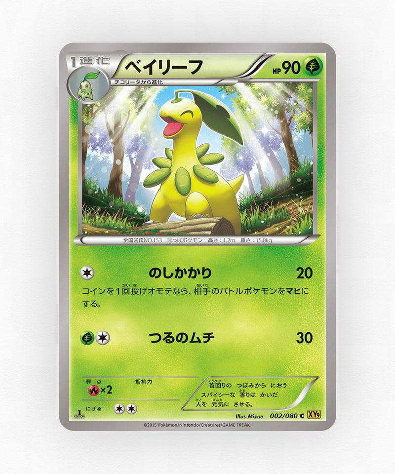 pk-xy9_ja-2-1e-non-holo