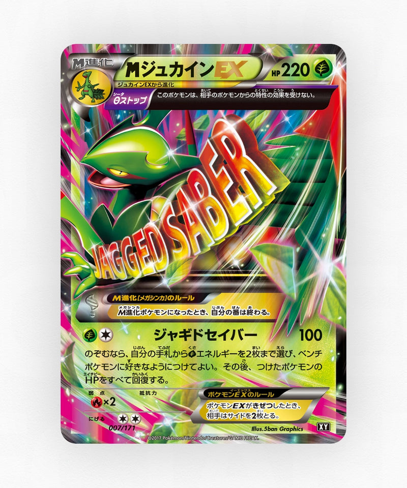 pk-xy_ja-7-holo