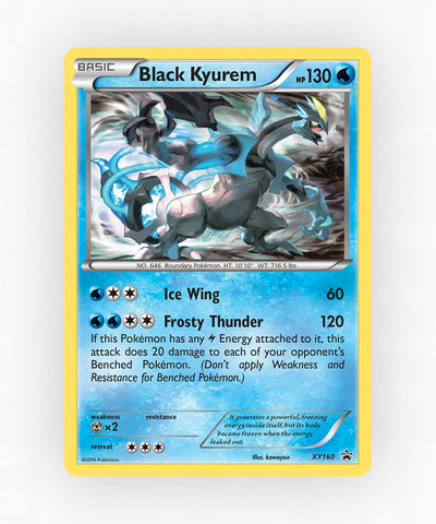 pk-xyp-xy160-holo