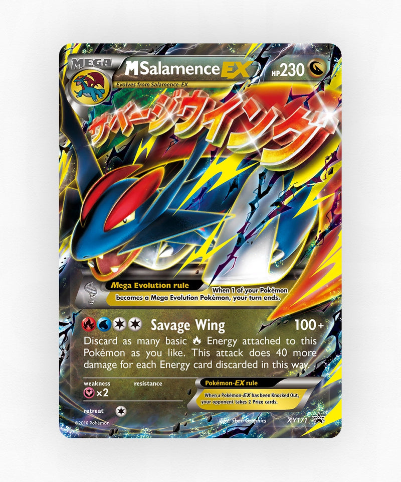 pk-xyp-xy171-holo