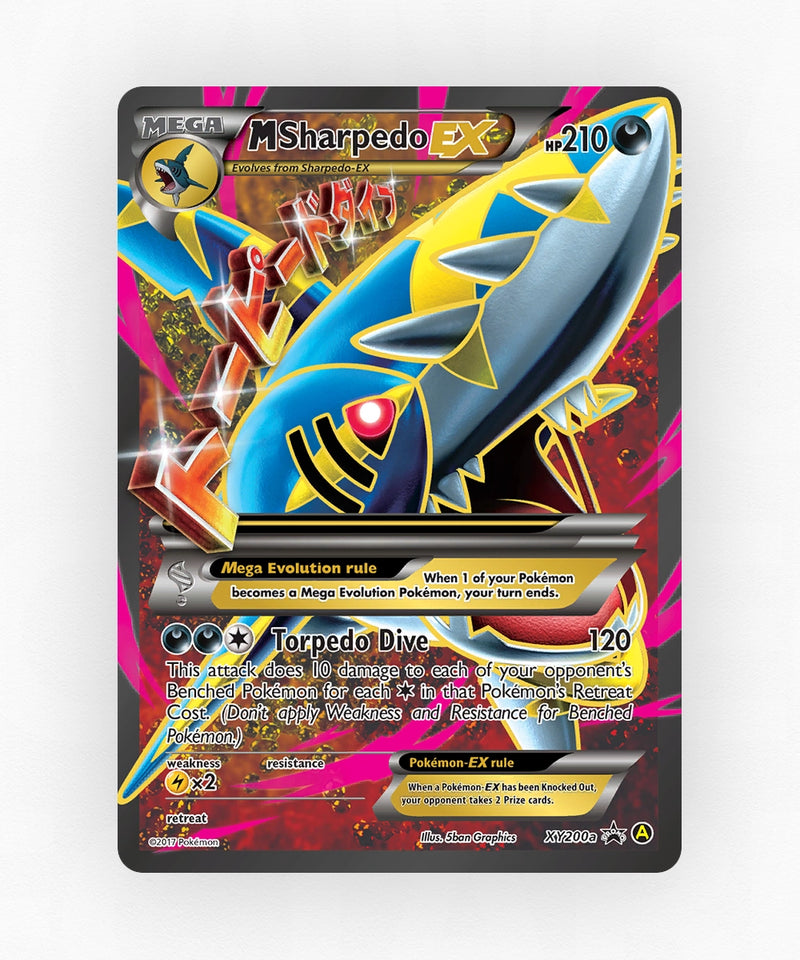 pk-xyp-xy200a-holo