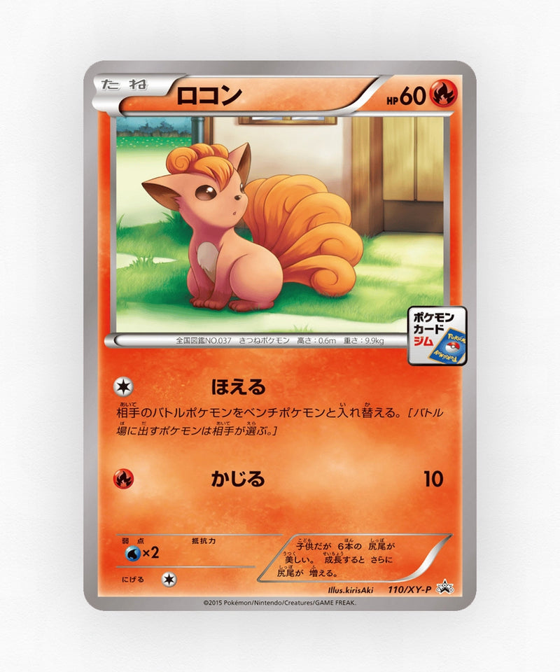 pk-xyp_ja-110-non-holo