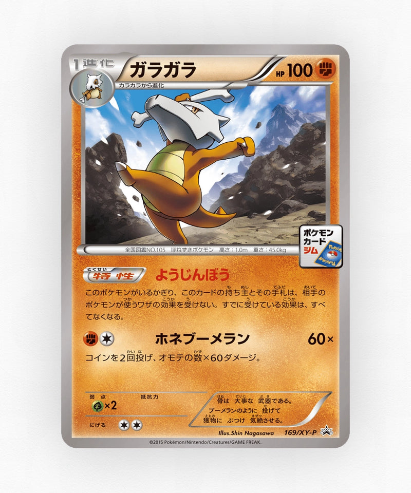 pk-xyp_ja-169-non-holo
