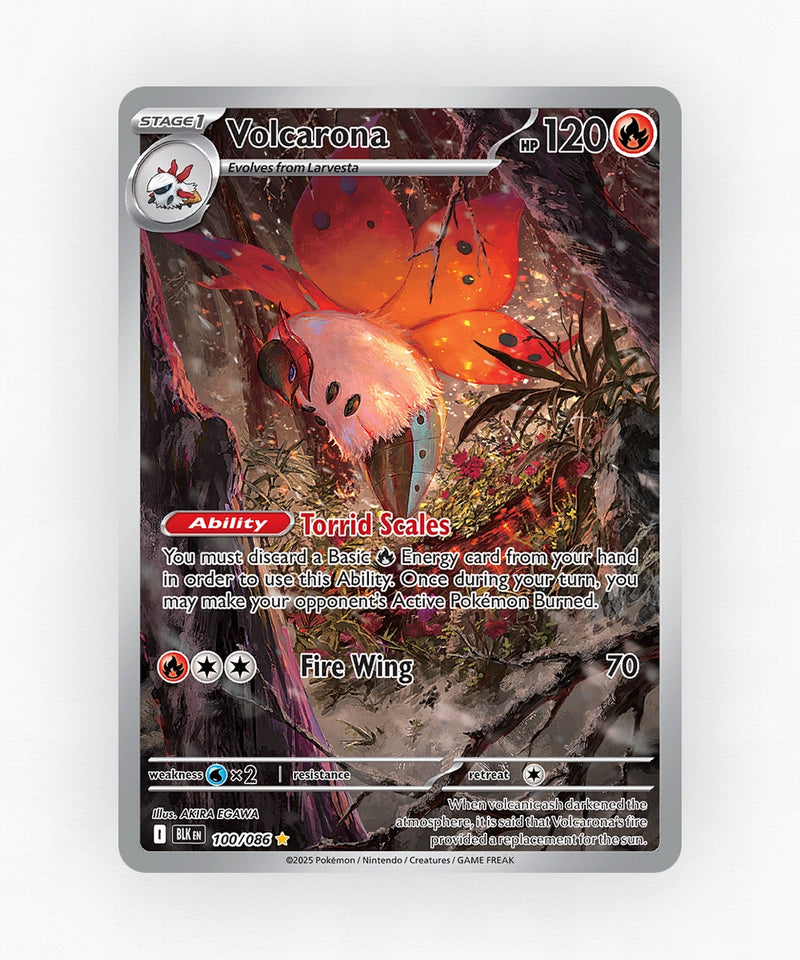 pk-zsv10pt5-100-holo