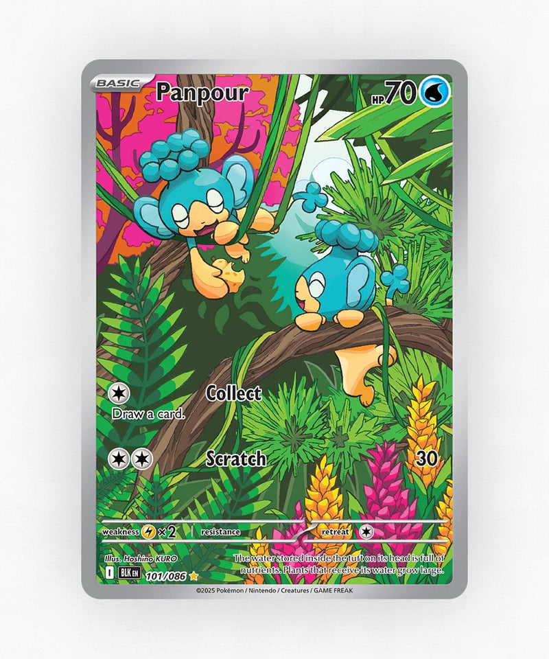 pk-zsv10pt5-101-holo
