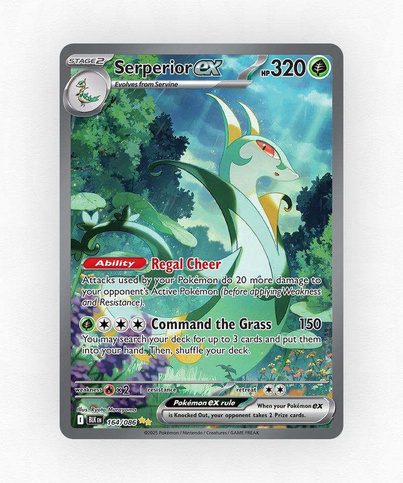 pk-zsv10pt5-164-holo