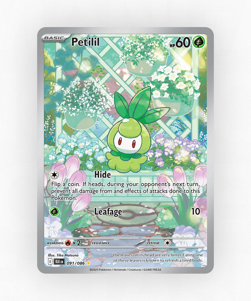 pk-zsv10pt5-91-holo